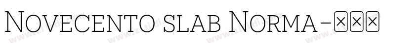 Novecento slab Norma字体转换